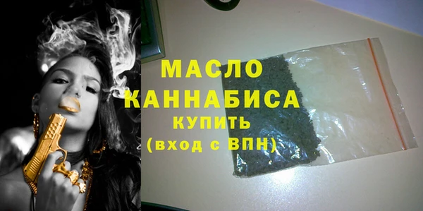 индика Сосновый Бор