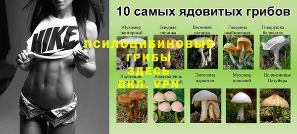 гидропоника Верхнеуральск
