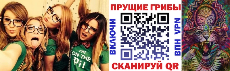 Галлюциногенные грибы мицелий  Кингисепп 