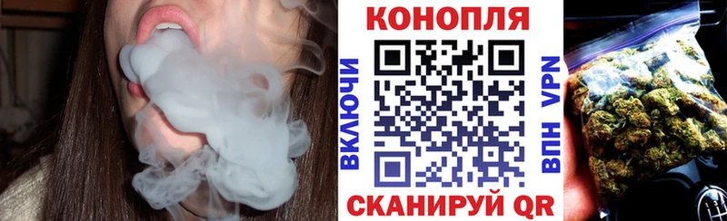 Канабис тримм  наркота  Кингисепп 